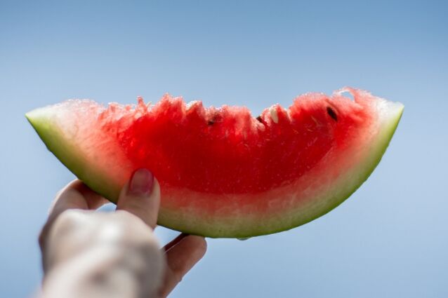 Scheibe Wassermelone